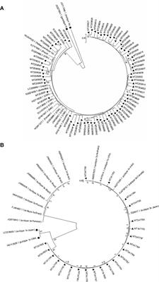 Prevalence of Naturally-Occurring NS5A and NS5B Resistance-Associated Substitutions in Iranian Patients With Chronic Hepatitis C Infection